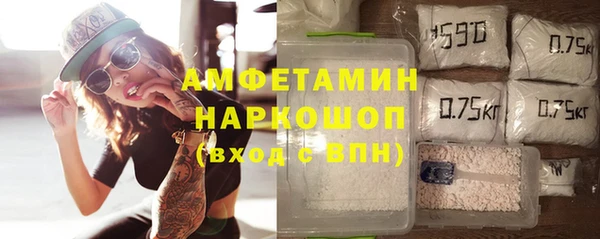 молекула духа Бородино