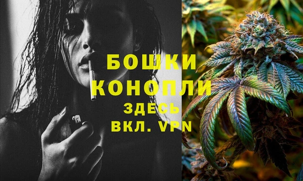 молекула духа Бородино