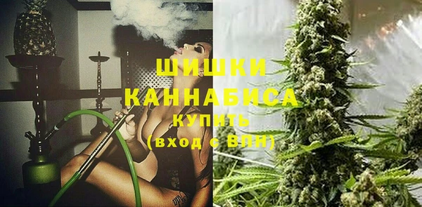 молекула духа Бородино