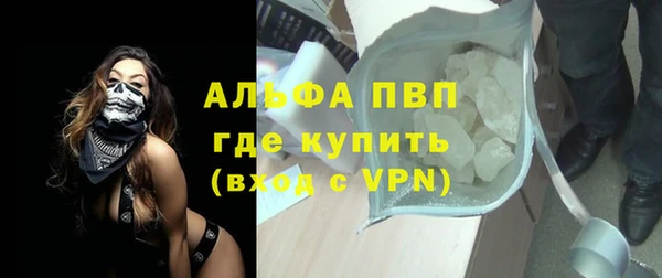 молекула духа Бородино