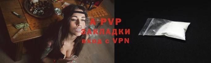 молекула духа Бородино