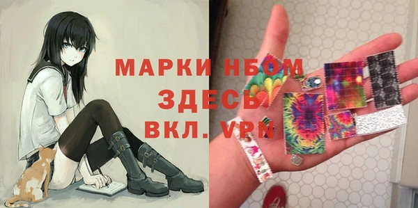 молекула духа Бородино