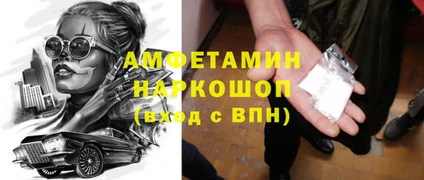 молекула духа Бородино