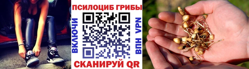 Псилоцибиновые грибы мухоморы  купить   Кубинка 